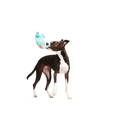 Bark Party Monster Marty Birthday pluche piepend 36x20x7 cm