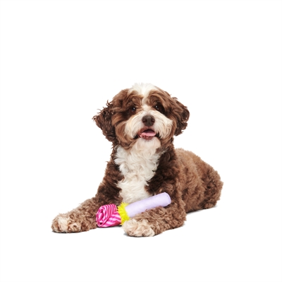 BARK Party Blow-Wower Birthday pluche hondenspeelgoed pluche piepend 38x8x5 cm