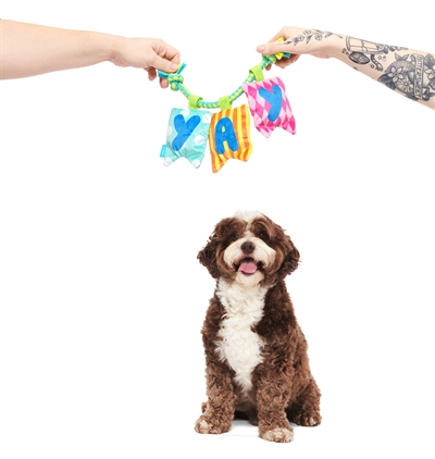 BARK Happy Yay Banner Birthday pluche hondenspeelgoed pluche piepend 36x25x6 cm