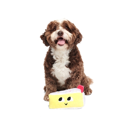 BARK Vanilla Squeak Cake Birthday pluche hondenspeelgoed piepend 19x11x11 cm