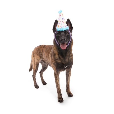 BARK Party Pooper Hat Birthday pluche hondenspeelgoed pluche piepend 29x9x9 cm