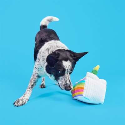 BARK Barkday Cake pluche hondenspeelgoed pluche piepend 21x17x13 cm