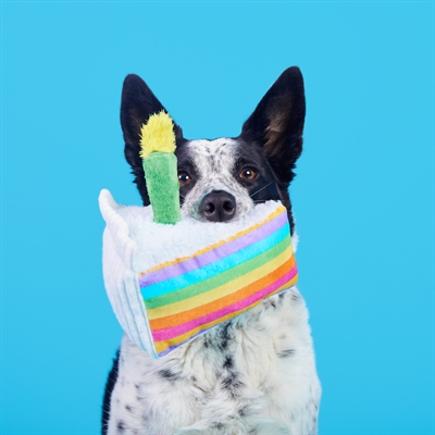 BARK Barkday Cake pluche hondenspeelgoed pluche piepend 21x17x13 cm