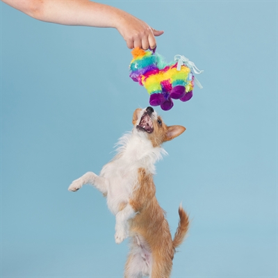 BARK Full O Fluff Pinata Birthday pluche hondenspeelgoed pluche met pieper 22x13x23 cm