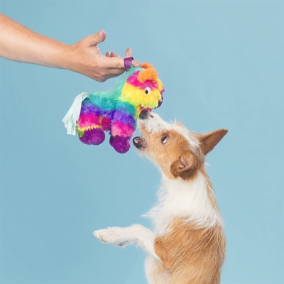 BARK Full O Fluff Pinata Birthday pluche hondenspeelgoed pluche met pieper 22x13x23 cm