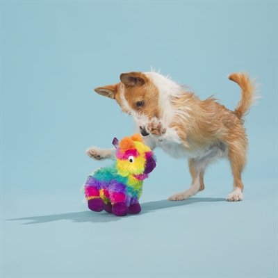 BARK Full O Fluff Pinata Birthday pluche hondenspeelgoed pluche met pieper 22x13x23 cm