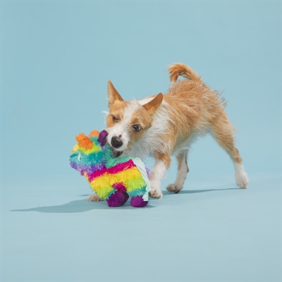 BARK Full O Fluff Pinata Birthday pluche hondenspeelgoed pluche met pieper 22x13x23 cm