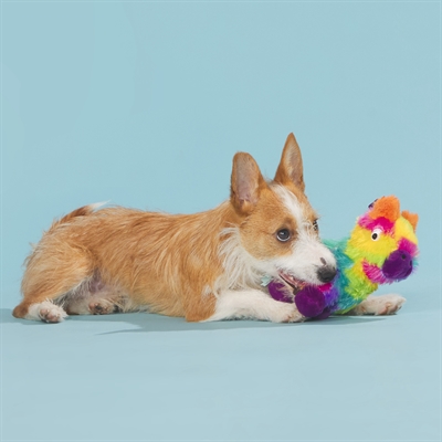 BARK Full O Fluff Pinata Birthday pluche hondenspeelgoed pluche met pieper 22x13x23 cm