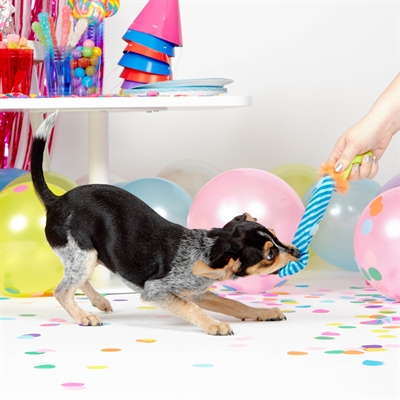 BARK Roll Over Party Blower pluche hondenspeelgoed piepend 38x8x5 cm