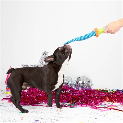 BARK Roll Over Party Blower pluche hondenspeelgoed piepend 38x8x5 cm