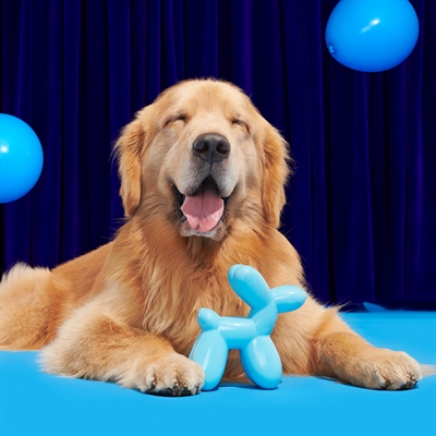 BARK Bob The Balloon Birthday Super Chewer hondenspeelgoed rubber piepend 19x8x17 cm