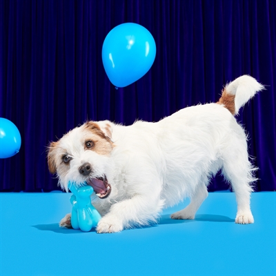 BARK Bob The Balloon Birthday Super Chewer hondenspeelgoed rubber piepend 19x8x17 cm