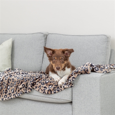 Trixie Leo slaapplaats softpluche (polyester) 100x70 cm
