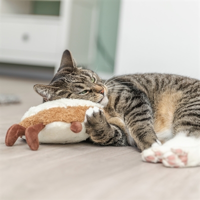 TRIXIE Kattenspeeltje Toast XXL Pluche - Amerikaanse catnip en ritselend, voor grote katten - 18 cm