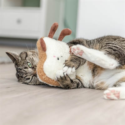 TRIXIE Kattenspeeltje Toast XXL Pluche - Amerikaanse catnip en ritselend, voor grote katten - 18 cm