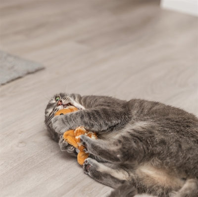 TRIXIE Strampel-Schildkröte Katzenspielzeug Plüsch - strampelt bei Berührung, aufladbar (USB-C), stoppt nach 15 s - Grün - 14 cm