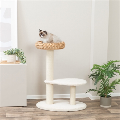 TRIXIE KRABPAAL AVELIA BANANA LEAF CREME