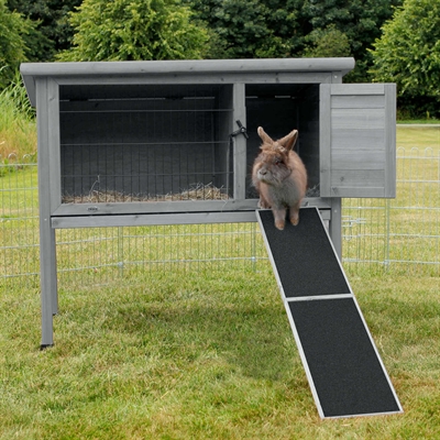 TRIXIE LOOPPLANK VOOR KOOIEN / HOKKEN