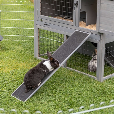 TRIXIE LOOPPLANK VOOR KOOIEN / HOKKEN