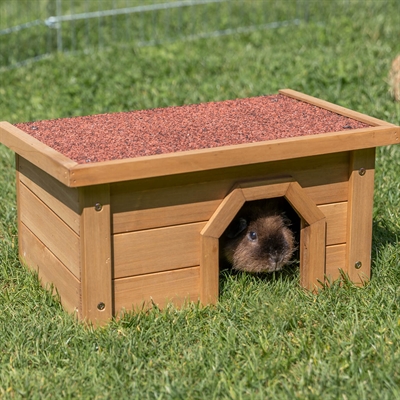 TRIXIE KNAAGDIERHUIS DONKERBRUIN