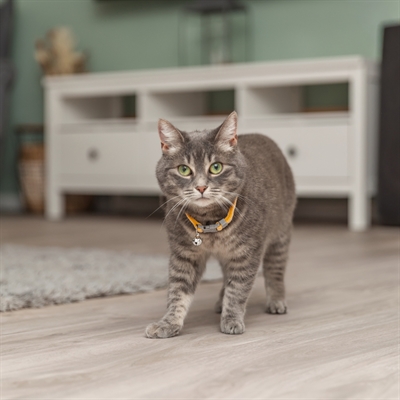 TRIXIE Kattenhalsband Geblokt Motief Verstelbaar met Belletje - Zachte pastelkleuren (Assorti) - 20-30x1 cm