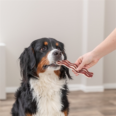 TRIXIE Hondensnack Premio Bacon Strips - 73% vlees, 55% eendenborst, glutenvrij - 80 g