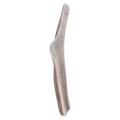 Zolux Bois de cerf coupé en deux easy
