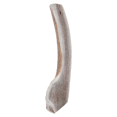 Zolux Bois de cerf coupé en deux easy