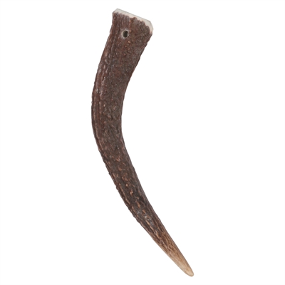 Zolux Bois de cerf très dur