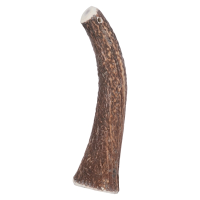 Zolux Bois de cerf très dur
