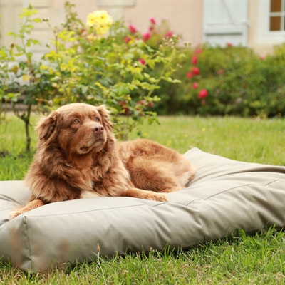 ZOLUX COUSSIN POUR CHIEN 4 SEASONS DÉPERLANT POLYESTER RECTANGULAIRE KAKI