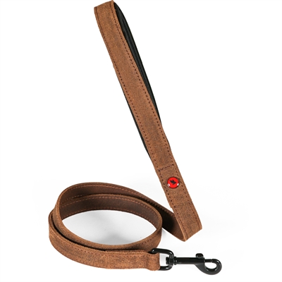 Zolux Expert laisse pour chien Premium cuir / néoprène marron