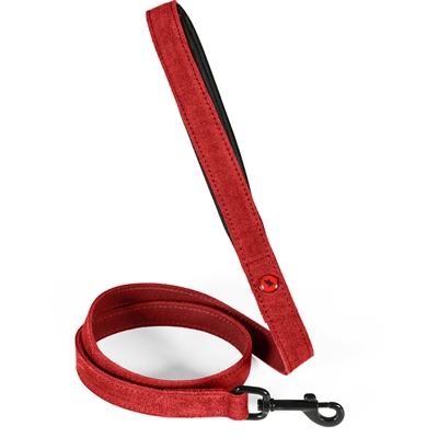 Zolux Expert laisse pour chien Premium cuir / néoprène rouge