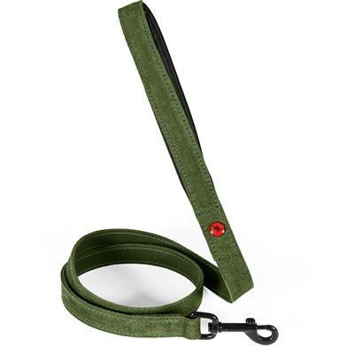 Zolux Expert laisse pour chien Premium cuir / néoprène vert