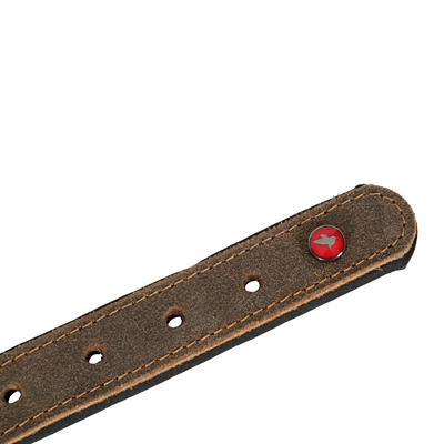 Zolux Expert collier pour chien Premium cuir / néoprène marron