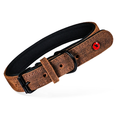 Zolux Expert collier pour chien Premium cuir / néoprène marron