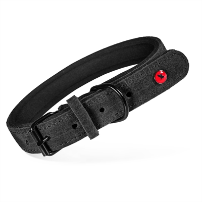 Zolux Expert collier pour chien Premium cuir / néoprène noir