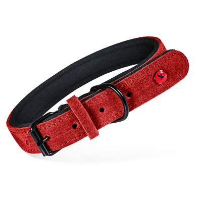 Zolux Expert collier pour chien Premium cuir / néoprène rouge