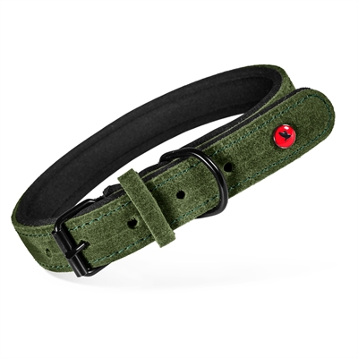 Zolux Expert collier pour chien Premium cuir / néoprène vert