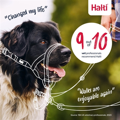 THE COMPANY OF ANIMALS COMPANY OF ANIMALS HALTI HEADCOLLAR ZWART