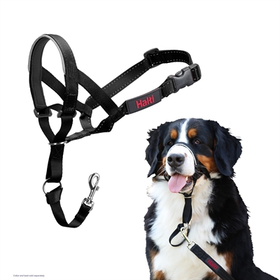 THE COMPANY OF ANIMALS COMPANY OF ANIMALS HALTI HEADCOLLAR ZWART