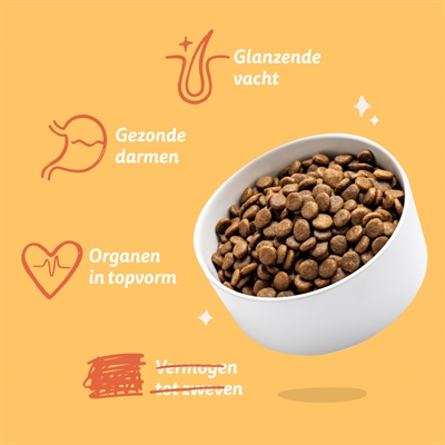 Edgard & Cooper Adult Verse Scharrelkip Graanvrij hondenbrokken