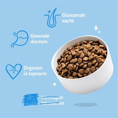 EDGARD & COOPER ADULT VERSE NOORSE ZALM GRAANVRIJ