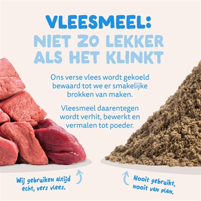 EDGARD & COOPER ADULT VERSE NOORSE ZALM GRAANVRIJ
