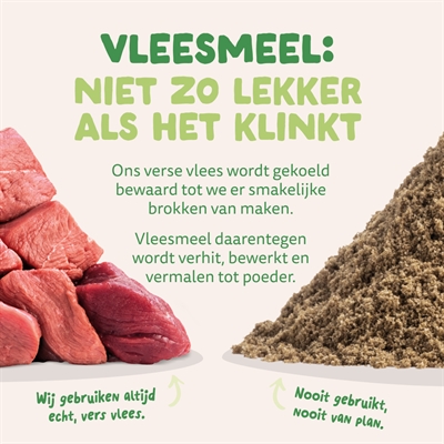 Edgard & Cooper Adult Vers Graslam Graanvrij hondenvoer