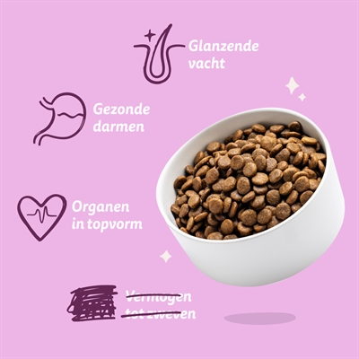 EDGARD & COOPER ADULT VERSE HERT / SCHARRELEEND GRAANVRIJ
