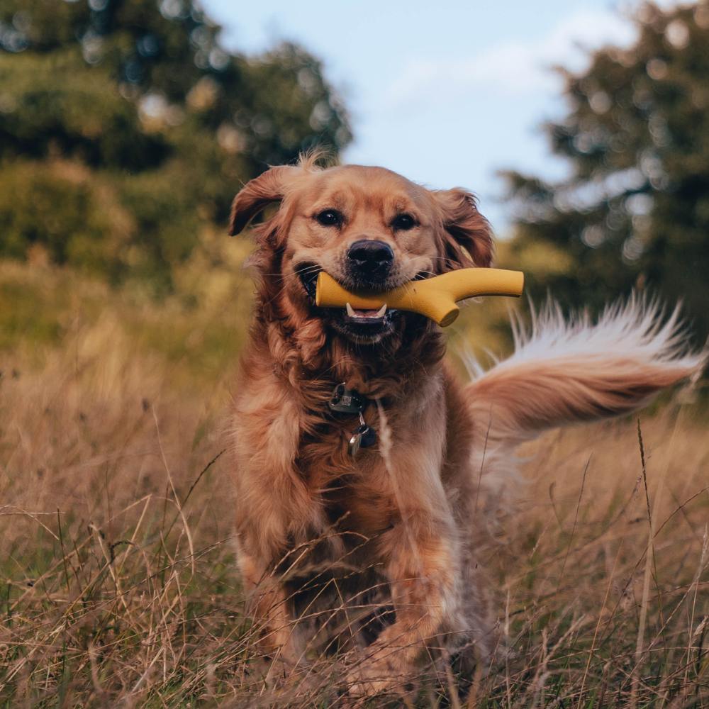 Super Stick - Geel
