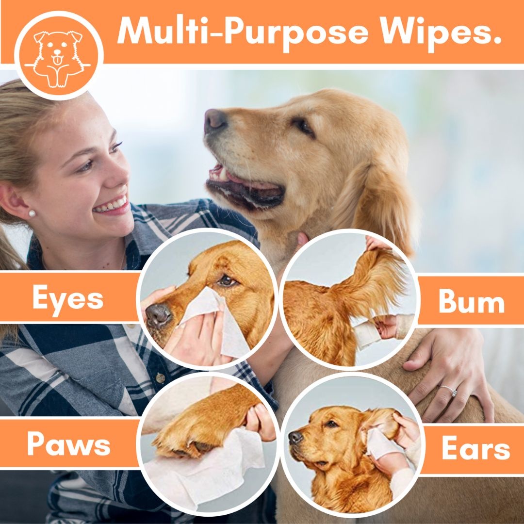 DogsLife Dog Grooming Wipes - 20 Stück - Natürlich desodorierend