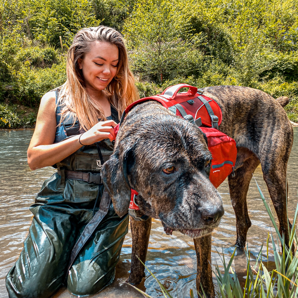 Kurgo hondenrugzak Baxter Backpack Large (22-50 kg) – lichtgewicht