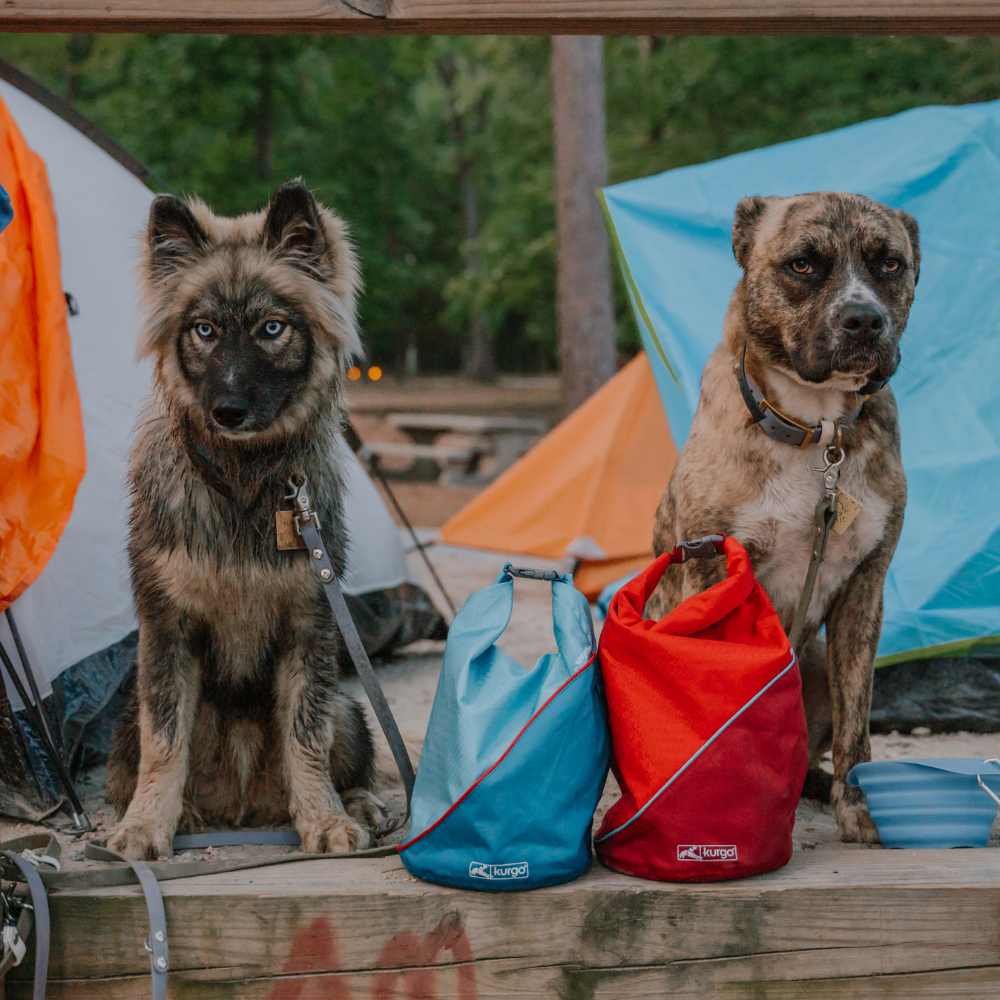 Kurgo Kibble Carrier voerbak Chili Rood – lichtgewicht en compact